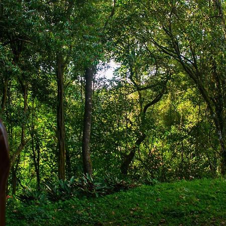 Cabanas Lys Monteverde Kültér fotó