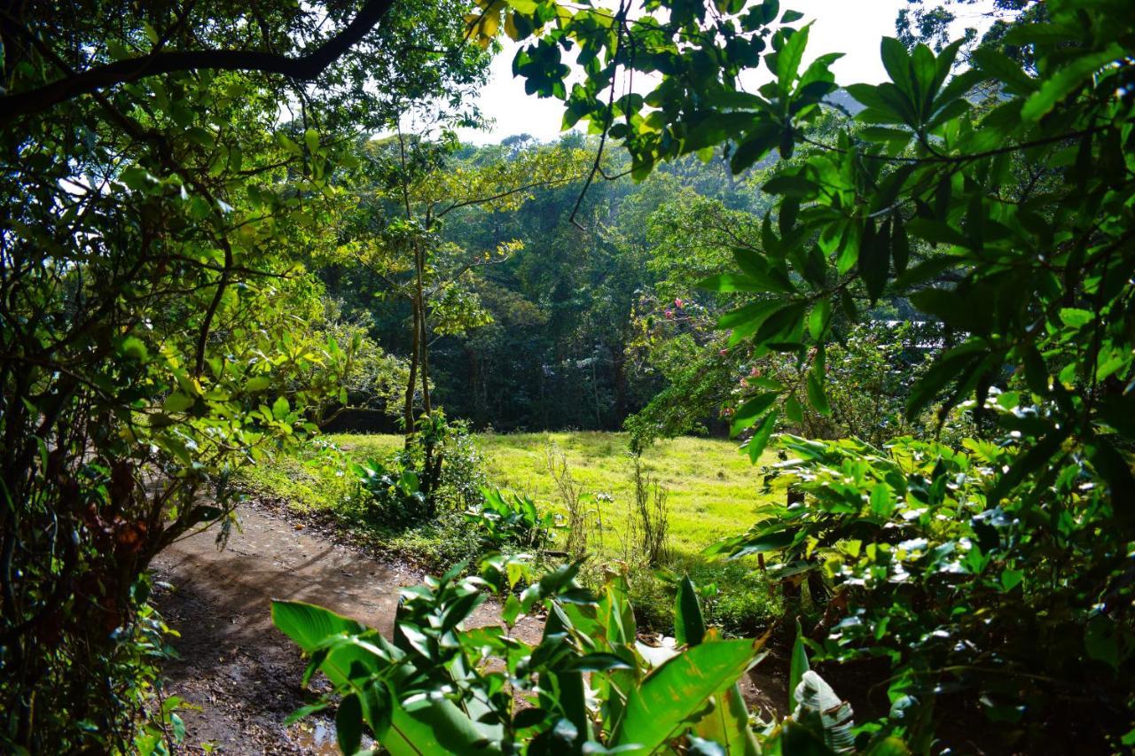 Cabanas Lys Monteverde Kültér fotó