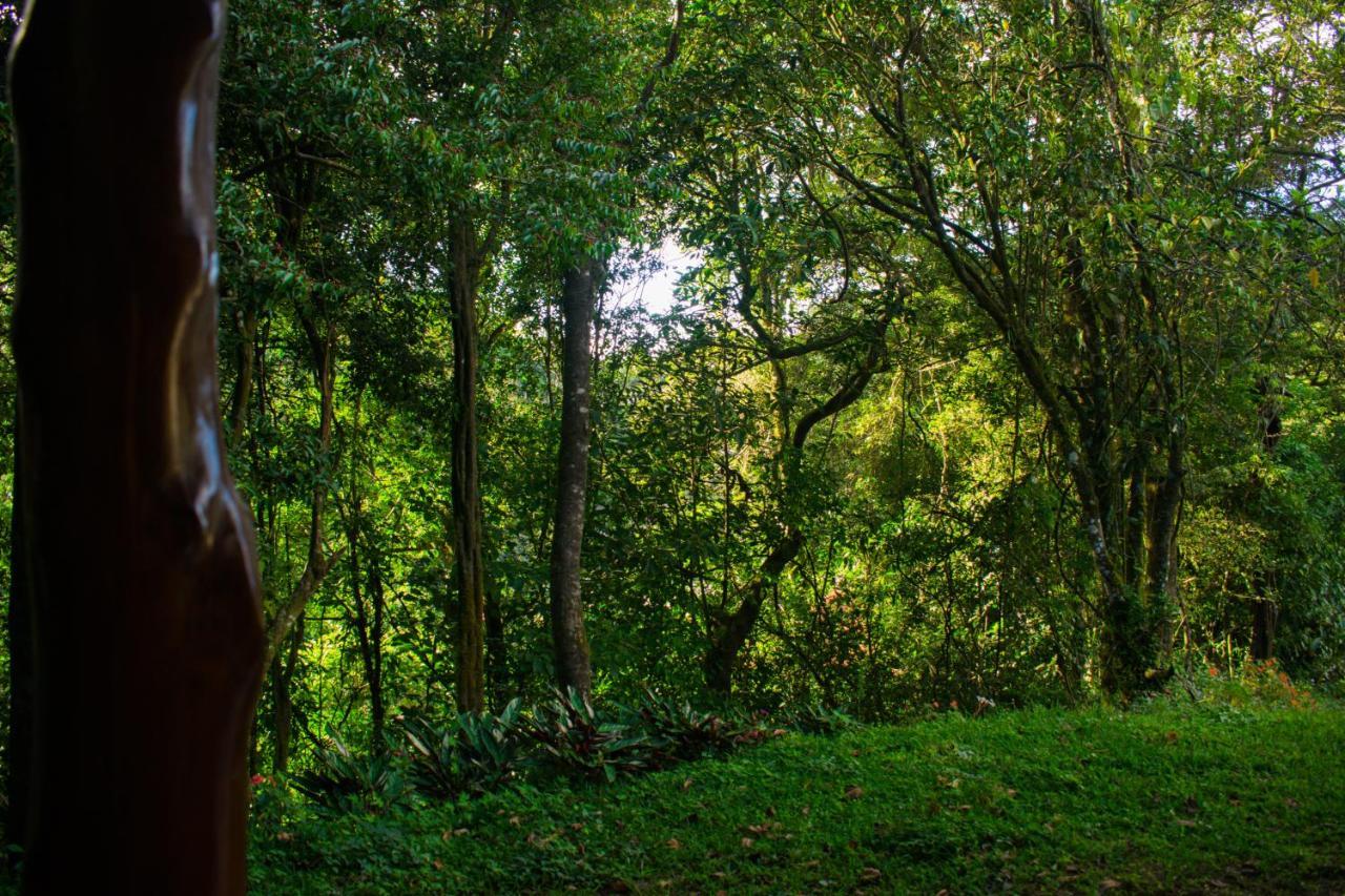 Cabanas Lys Monteverde Kültér fotó